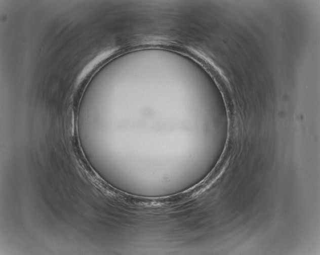 X0000086341317200703300946