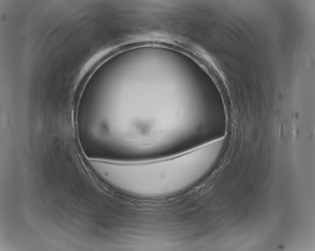 X0000086341320200703300946