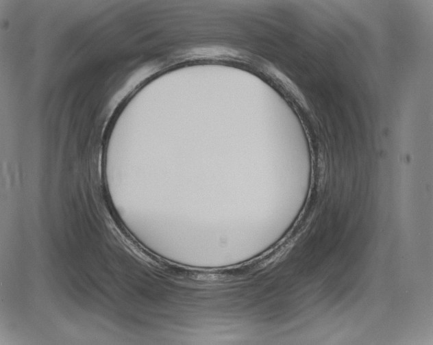 X0000086341322200703300946