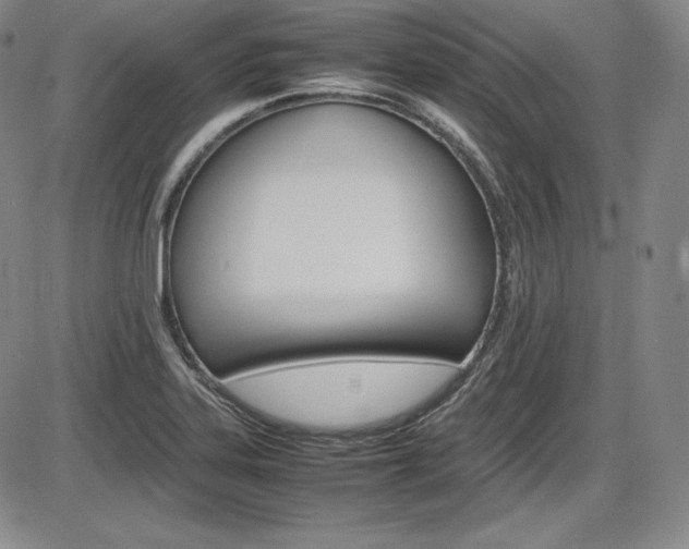 X0000086341323200703300946