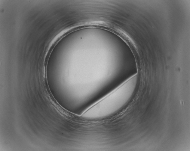 X0000086341324200703300946