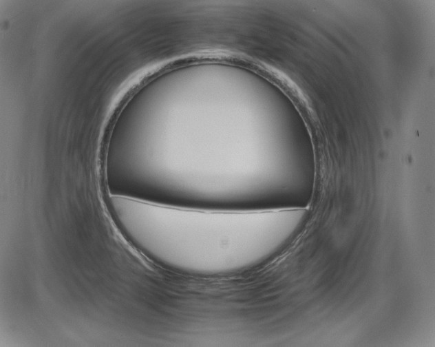 X0000086341327200703300947