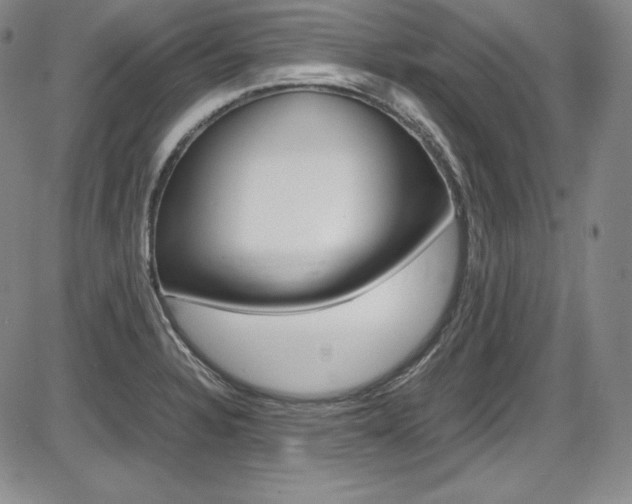 X0000086341328200703300947