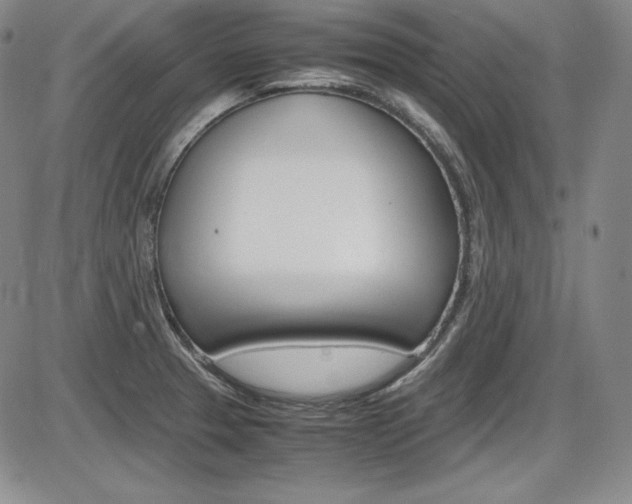 X0000086341329200703300947