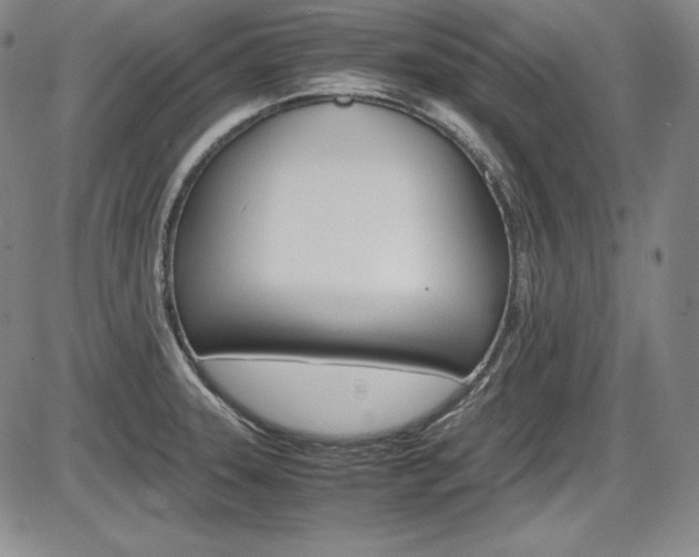 X0000086341331200703300947