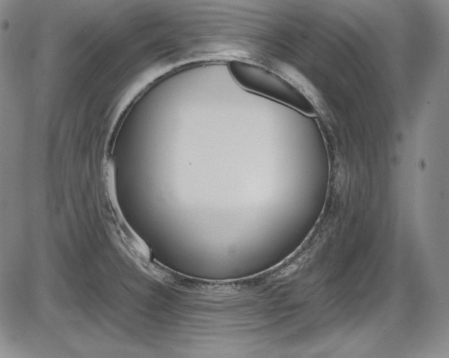 X0000086341332200703300947