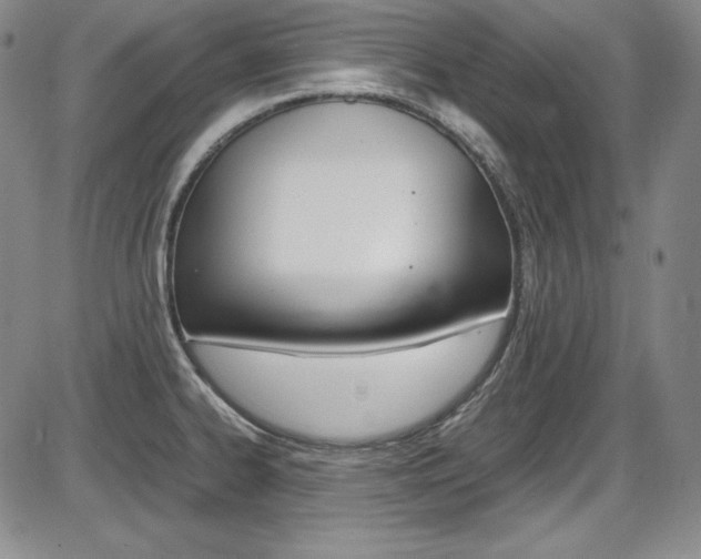 X0000086341334200703300947