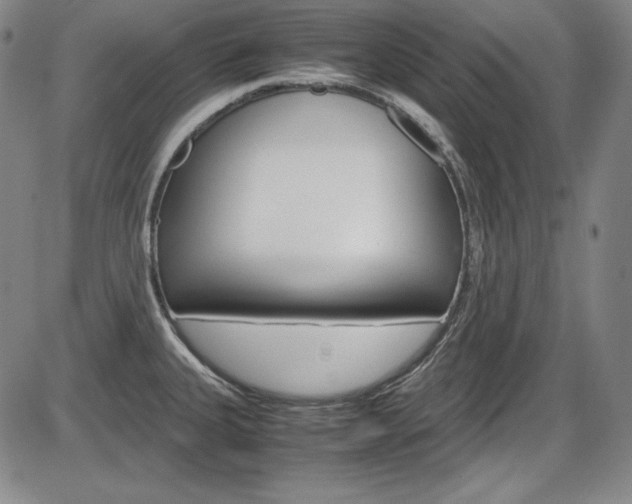 X0000086341335200703300947