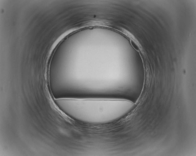 X0000086341339200703300947