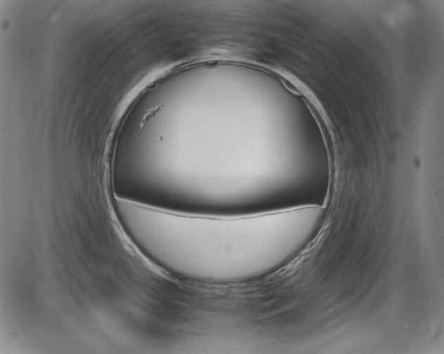 X0000086341341200703300947