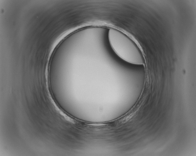 X0000086341343200703300947