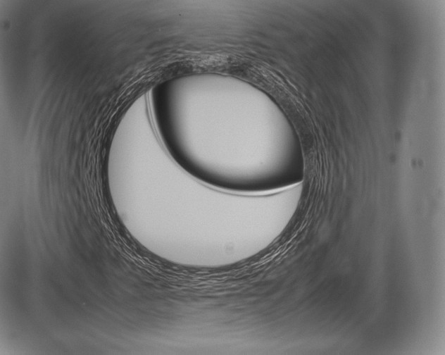 X0000086341345200703300946