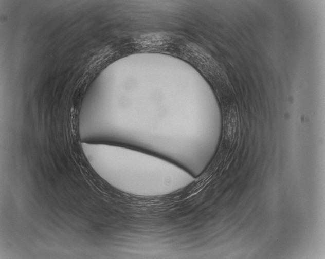 X0000086341346200703300946