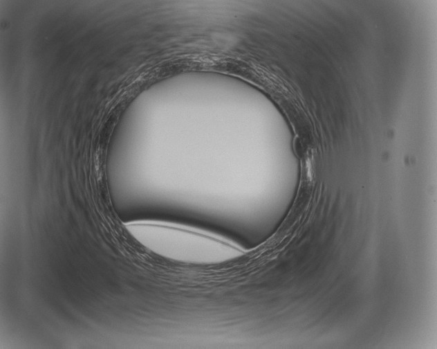 X0000086341347200703300946