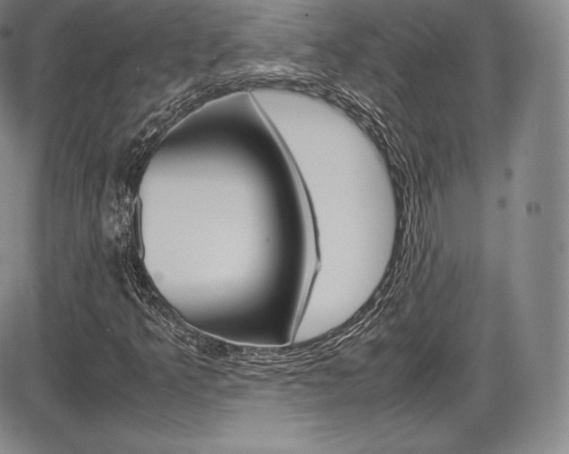 X0000086341349200703300946