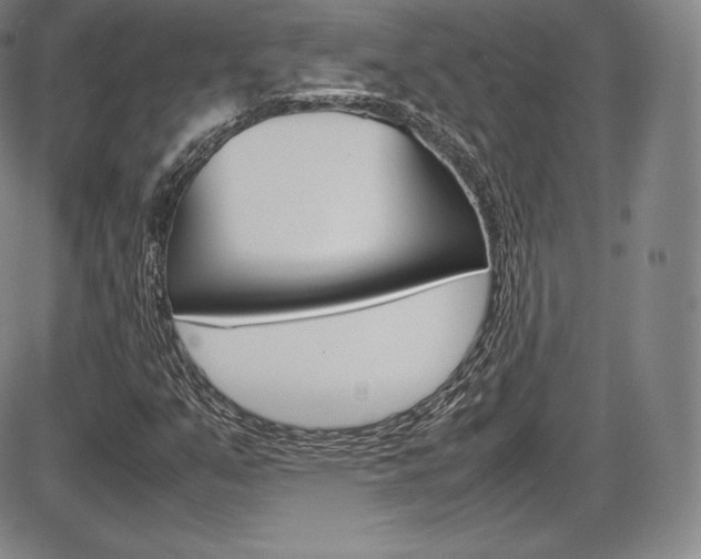 X0000086341351200703300946