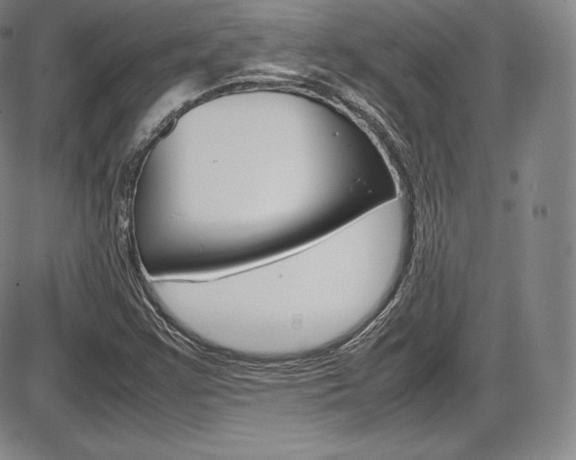 X0000086341355200703300946