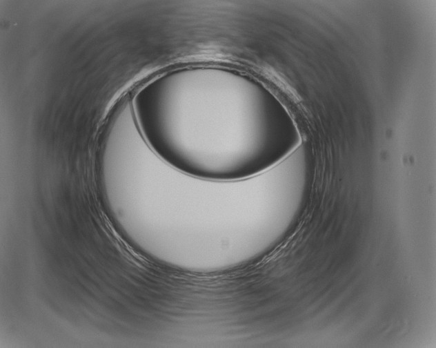 X0000086341356200703300946