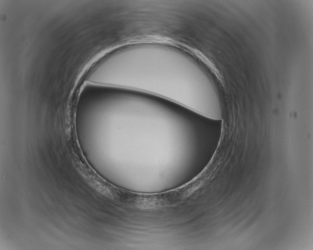 X0000086341364200703300946