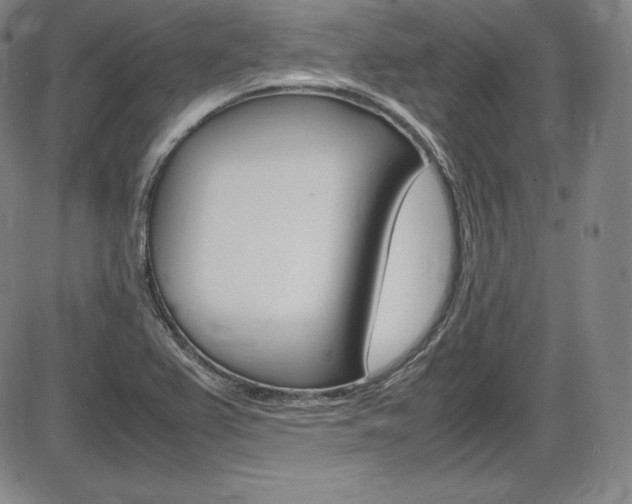 X0000086341367200703300946