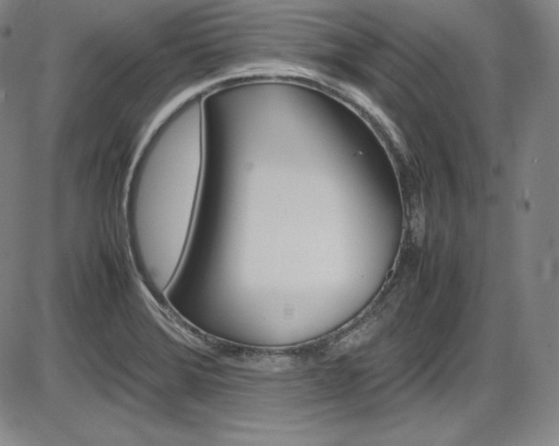 X0000086341372200703300946