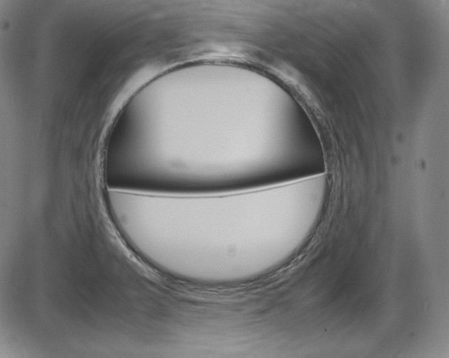 X0000086341375200703300945