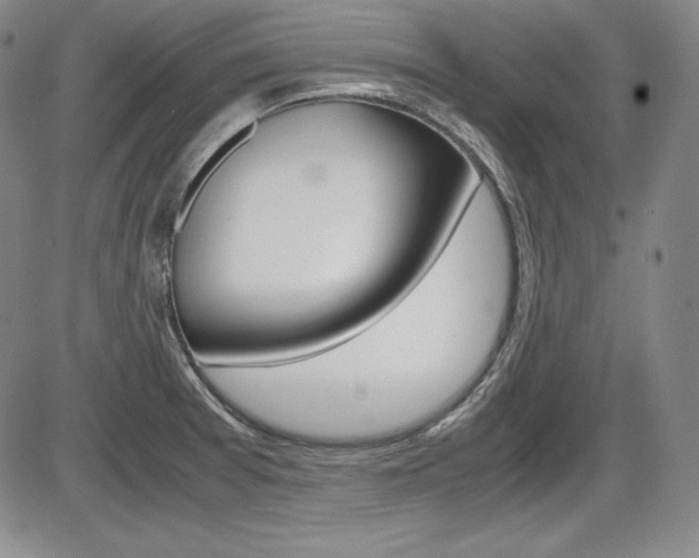 X0000086341377200703300945