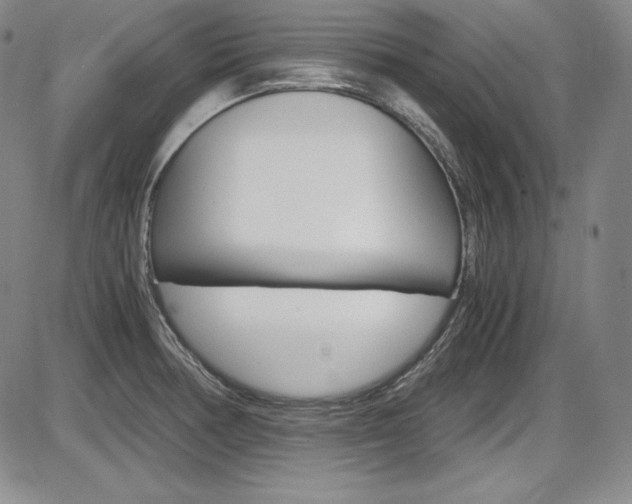 X0000086341378200703300945