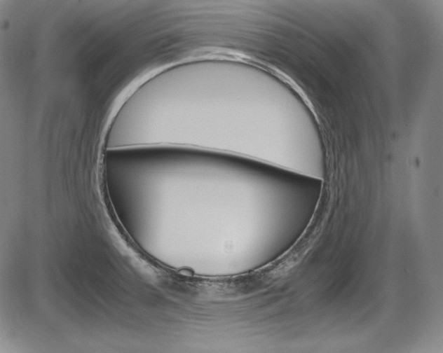 X0000086341379200703300945