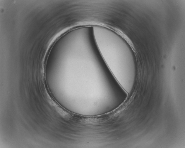 X0000086341380200703300945