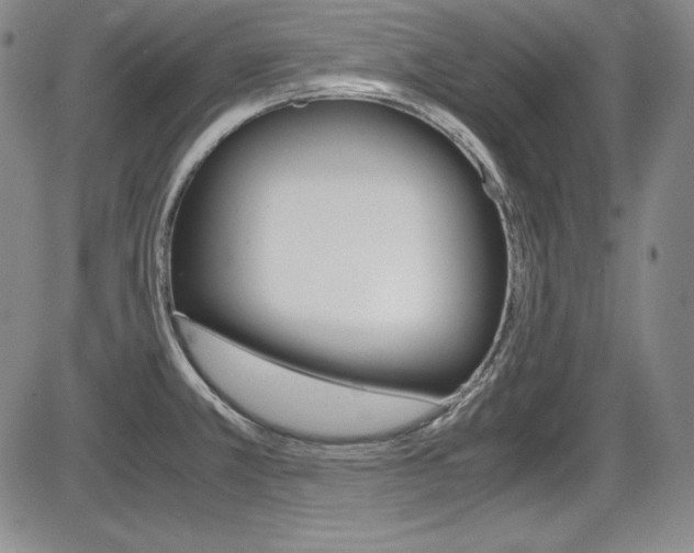 X0000086341381200703300945