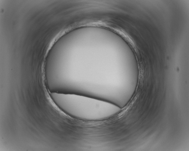 X0000086341382200703300945