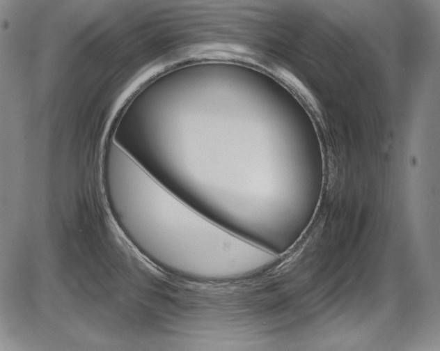 X0000086341384200703300945