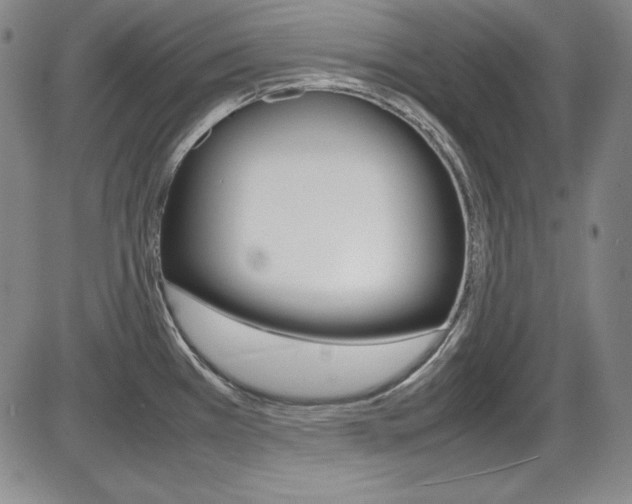 X0000086341385200703300945