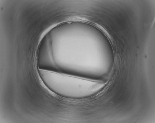 X0000086341387200703300945