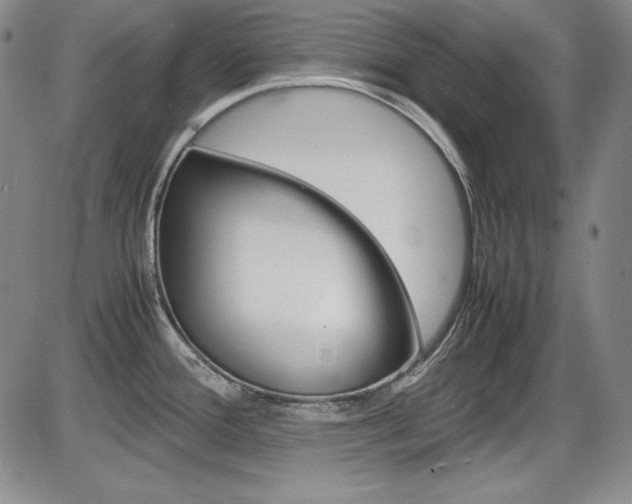 X0000086341388200703300945