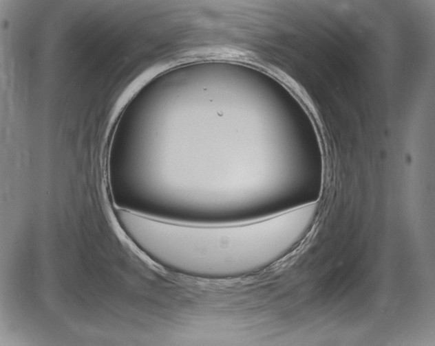 X0000086341389200703300945