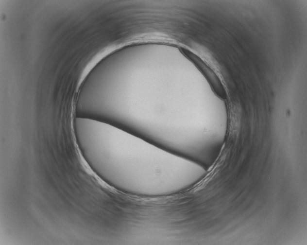X0000086341390200703300945