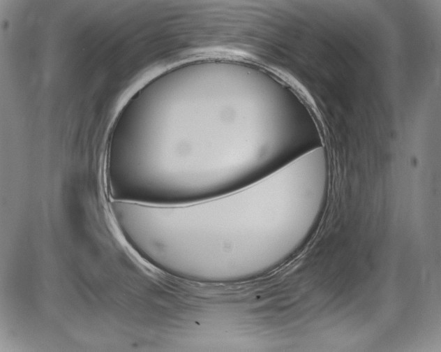 X0000086341391200703300945