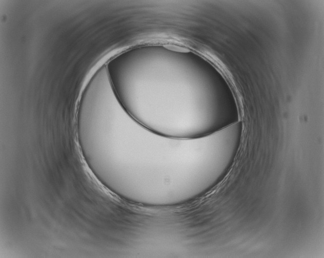 X0000086341392200703300945