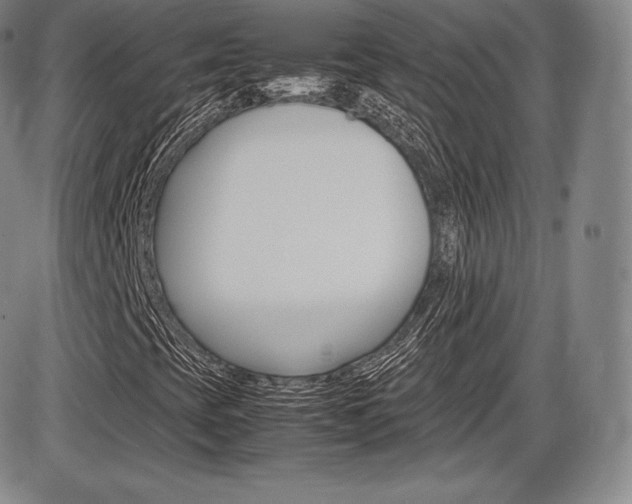 X0000086341393200703300944
