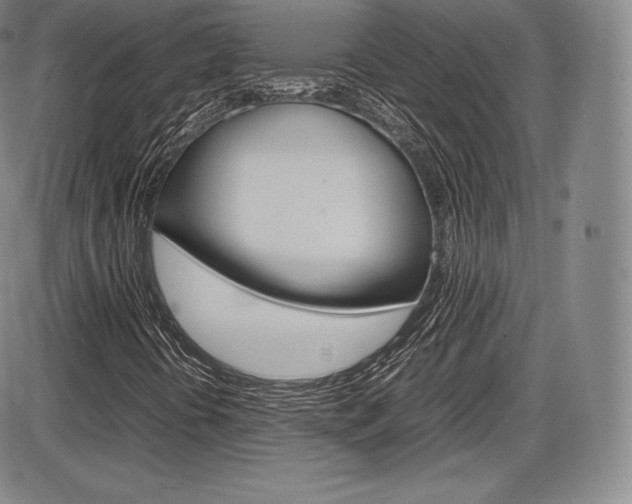 X0000086341394200703300944