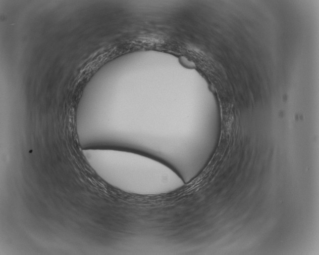 X0000086341397200703300944