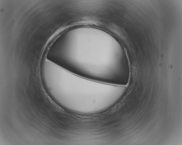 X0000086341412200703300945