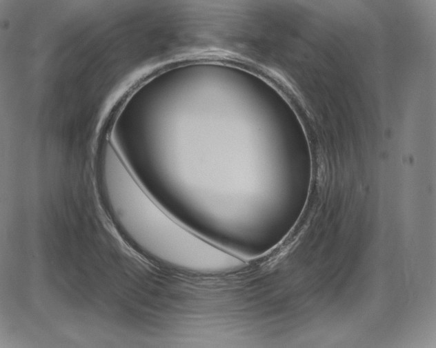 X0000086341414200703300945