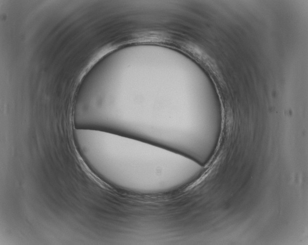 X0000086341417200703300945