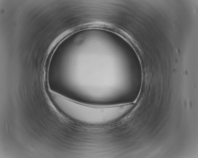 X0000086341418200703300945