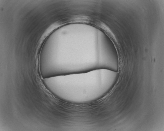 X0000086341419200703300945
