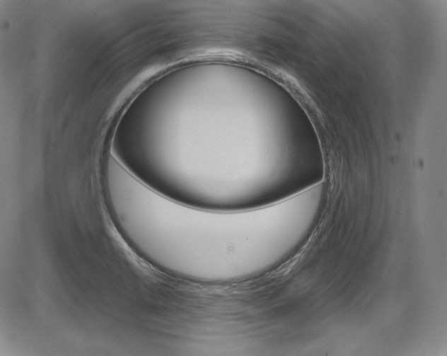 X0000086341422200703300945