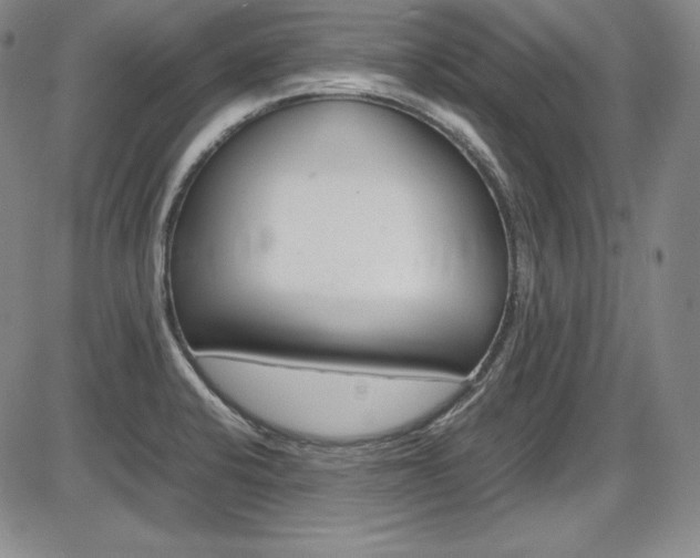X0000086341424200703300945